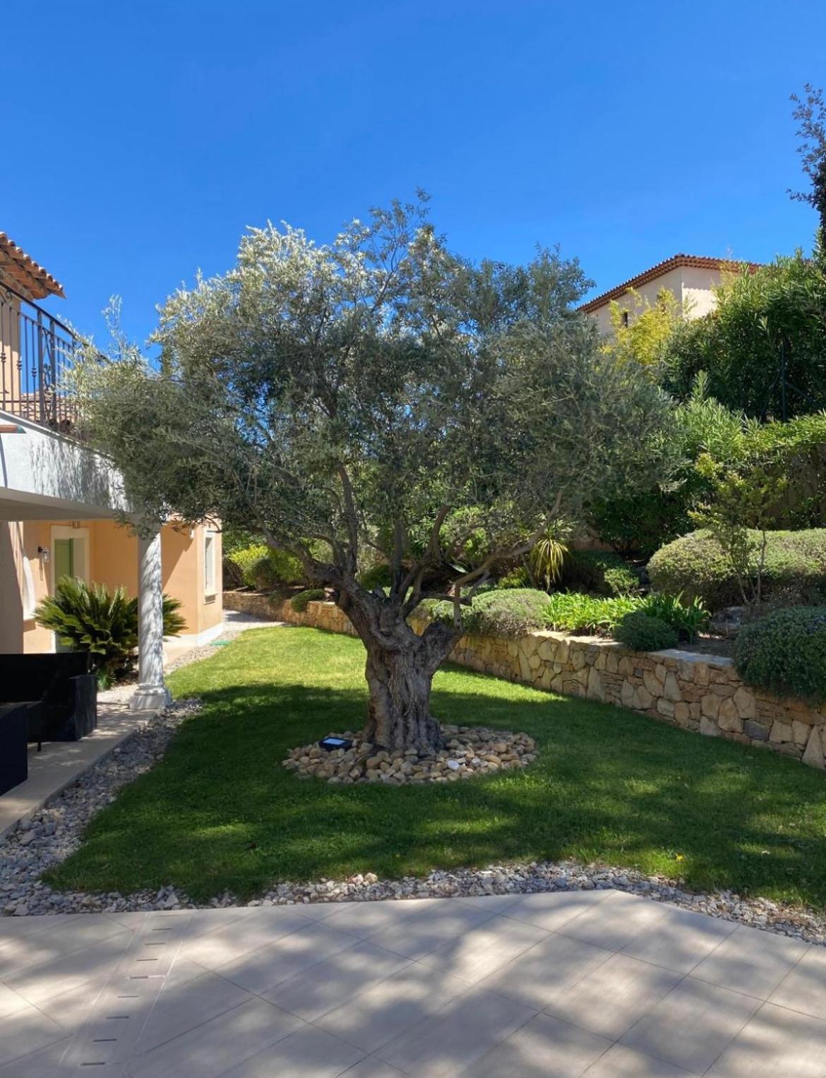 Belle Villa Dans Clos Prive - Saint Raphael Boulouris Eksteriør billede