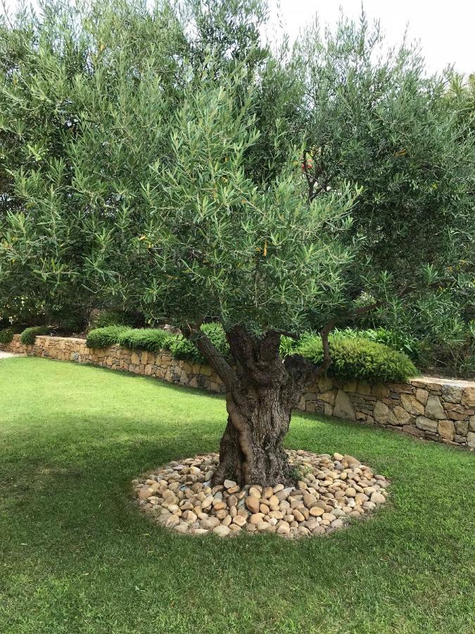 Belle Villa Dans Clos Prive - Saint Raphael Boulouris Eksteriør billede