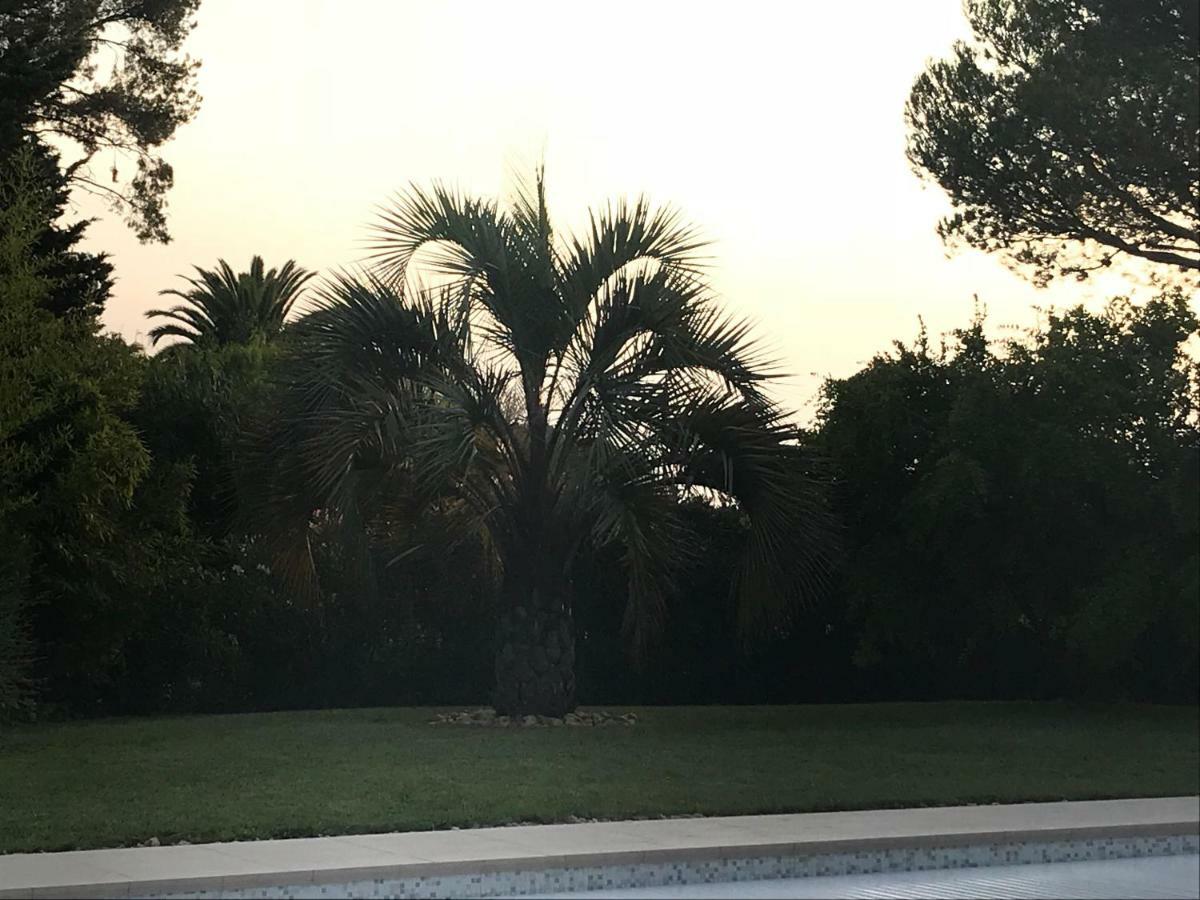 Belle Villa Dans Clos Prive - Saint Raphael Boulouris Eksteriør billede